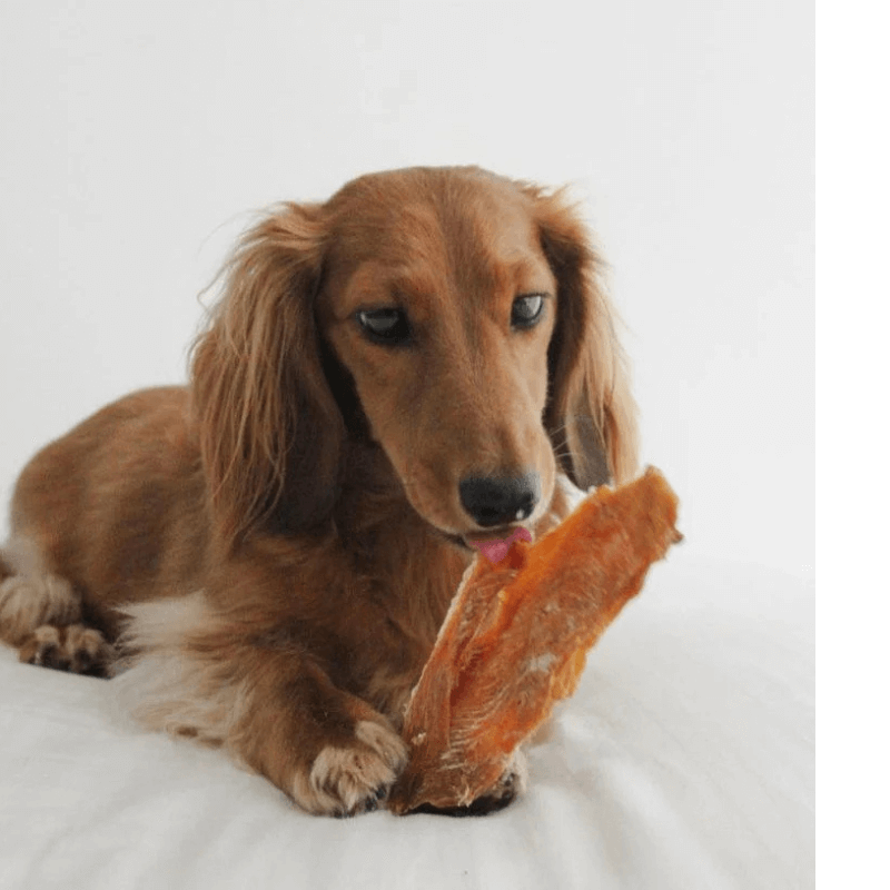 PawisitivePals™️ Premium Chicken Breast Jerky 1KG