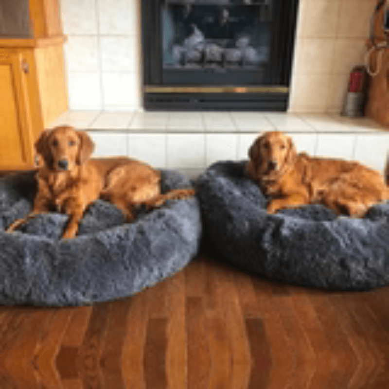 PawisitivePals™️ Premium Dog Calming Bed