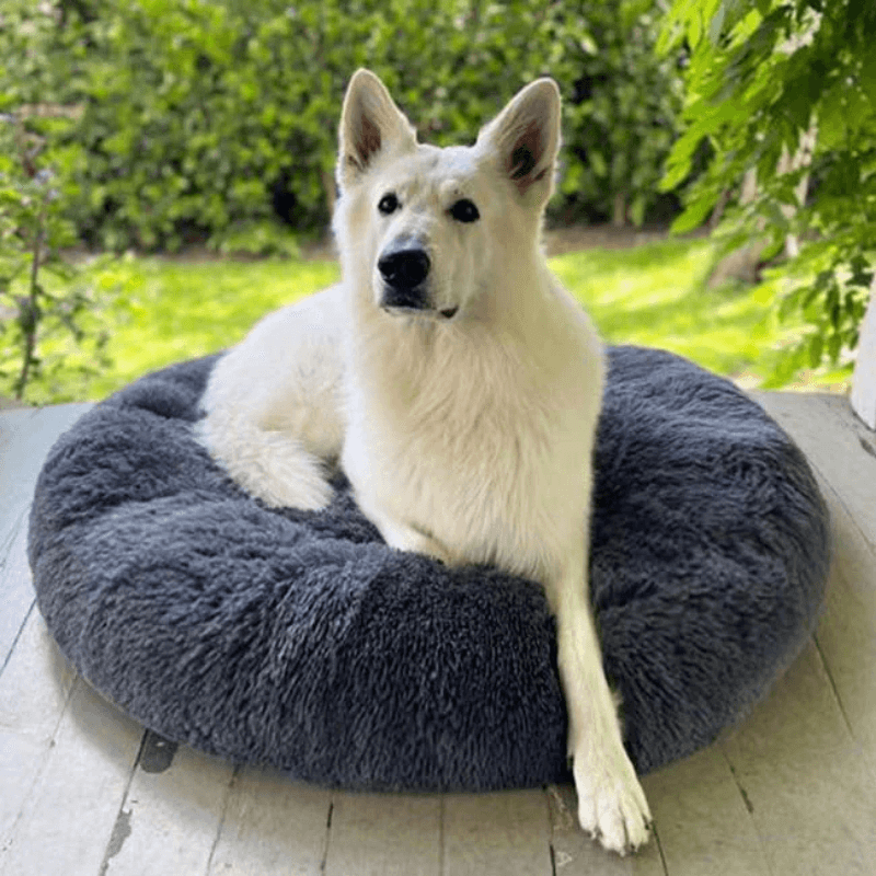 PawisitivePals™️ Premium Dog Calming Bed